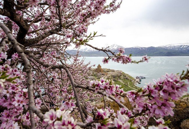 Akdamar Adası'nda ilkbahar güzelliği 21