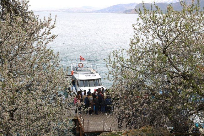 Akdamar Adası'nda ilkbahar güzelliği 27