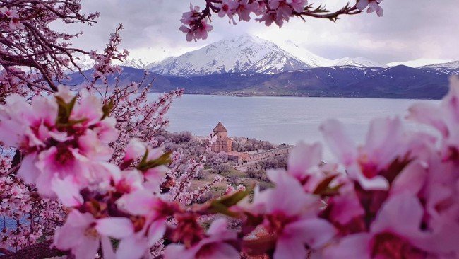 Akdamar Adası'nda ilkbahar güzelliği 8
