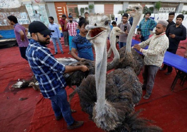 Dünya'dan Ramazan fotoğrafları 16