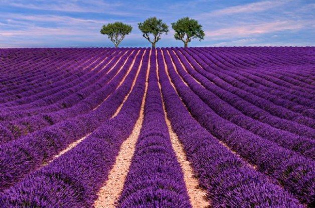 Türkiye'nin keşfedilmemiş saklı cennetleri 9