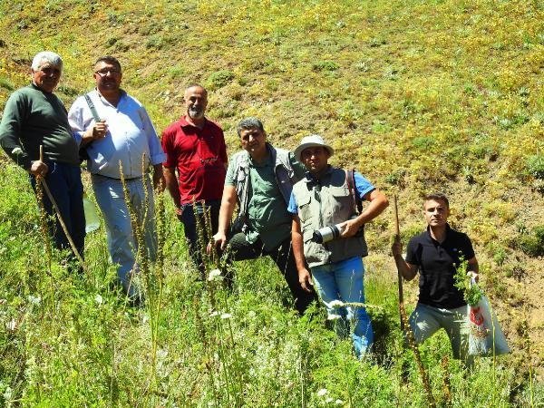 'Kandamlası' 150 yıl sonra görüldü 10