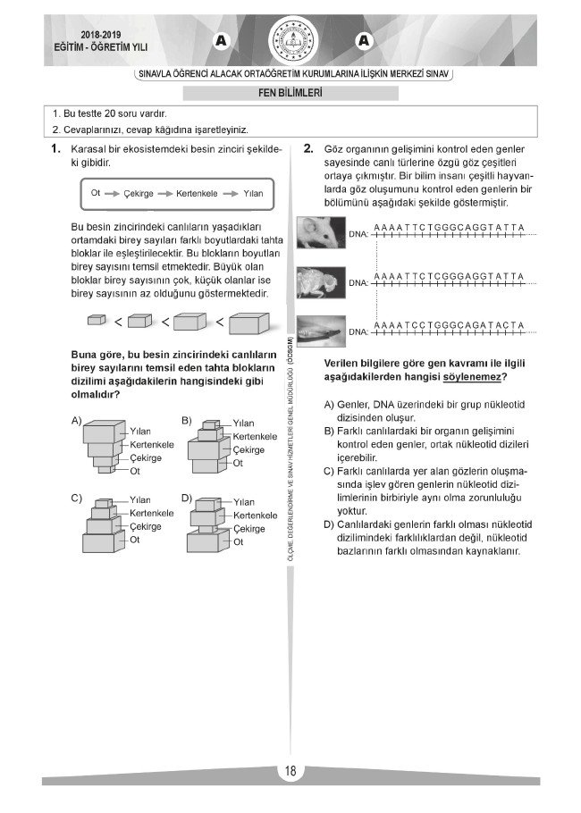 LGS soru ve cevapları sayısal (2019) 17