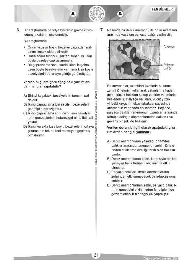 LGS soru ve cevapları sayısal (2019) 20