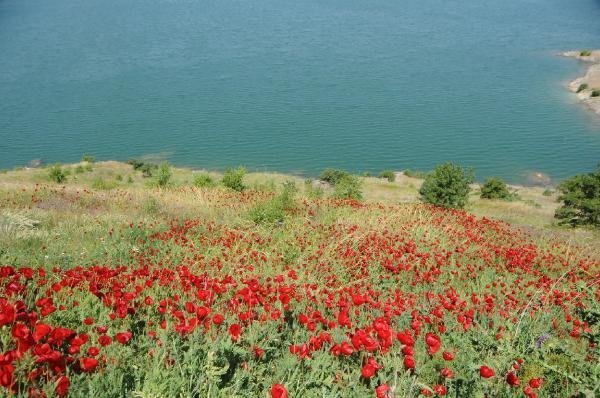 Tatilcilerin yeni rotası Tunceli 5