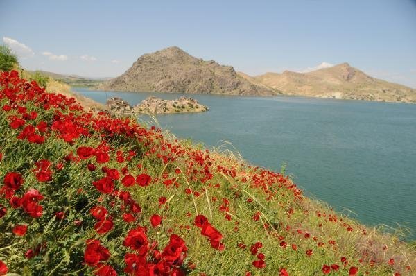 Tatilcilerin yeni rotası Tunceli 4