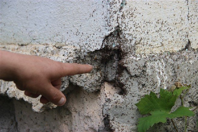 Mahallede korku dolu günler 1