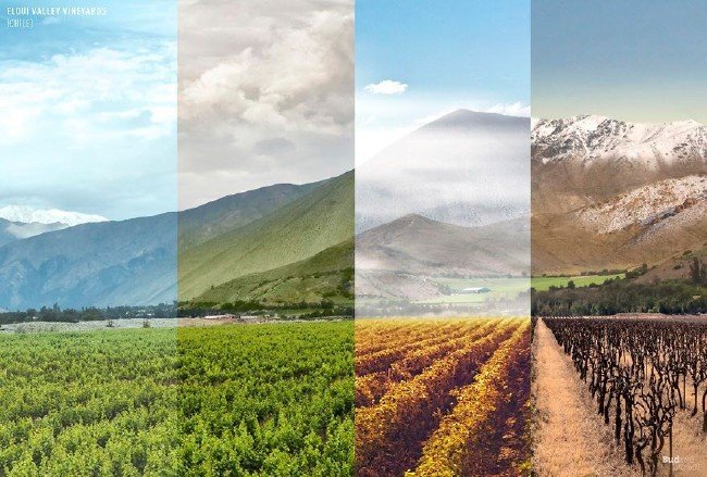 Tek karede dört mevsim 3