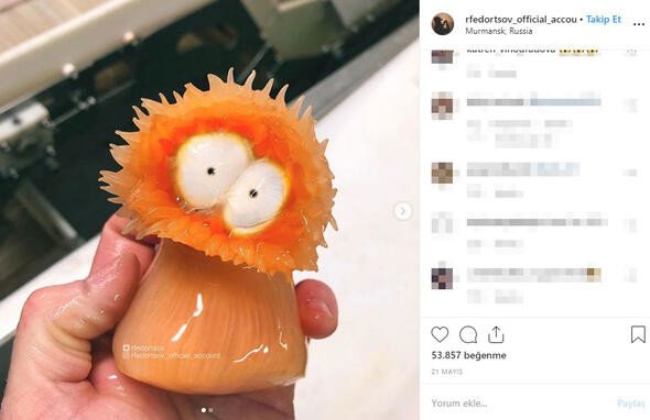 Bu canlıları görenler denize girmekten korkuyor 5