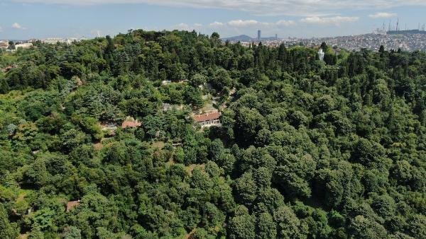 Adnan Oktar'ın evi eski halinden çok farklı 3