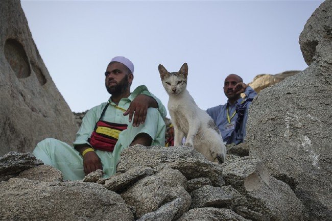 Hicretin mucizevi dağı 'Sevr' 8