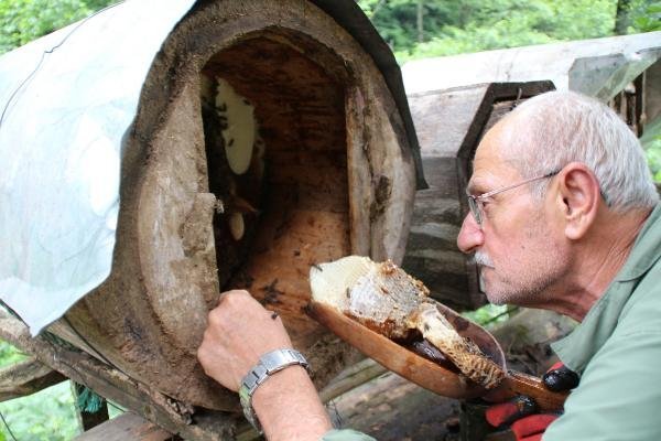 Kilosu 600 lira! Yok satıyor