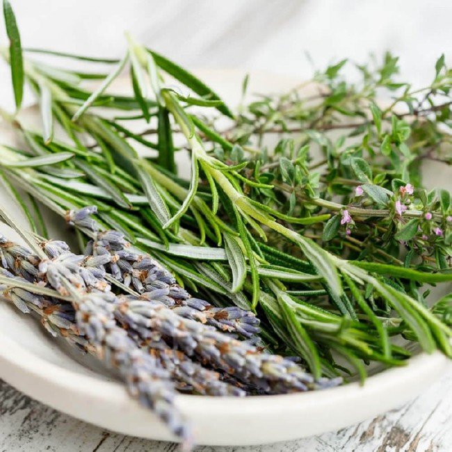 Bu bitkilerin olduğu eve böcek giremiyor 3