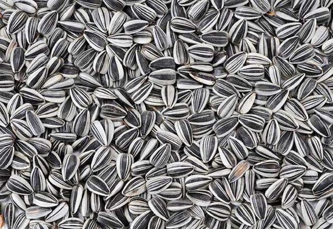 Bu besinler kansere karşı kalkan oluyor 1