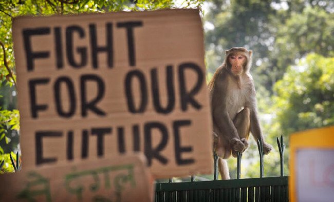Tüm dünya, Mavi Gezegen için ayağa kalktı 29