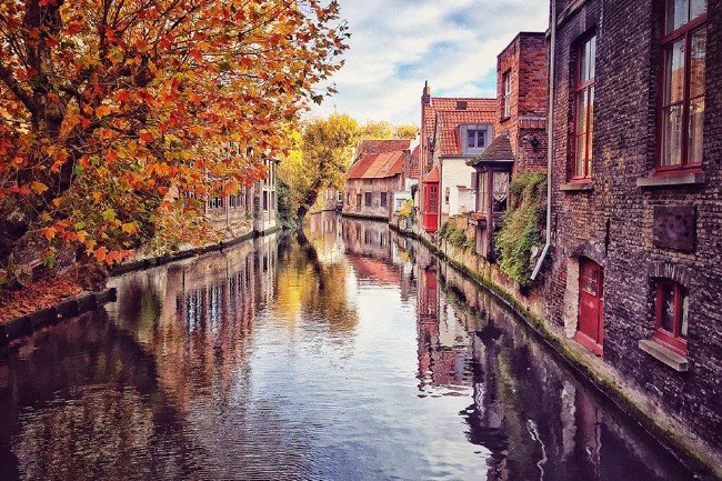 Sonbaharın manzarasını en güzel onlar sunuyor 4