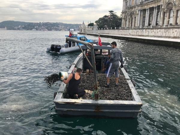 Boğaz'da kaçak midye avcılarına operasyon 21