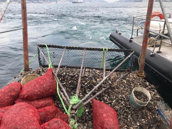 Boğaz'da kaçak midye avcılarına operasyon 23