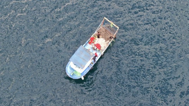 Boğaz'da kaçak midye avcılarına operasyon 1