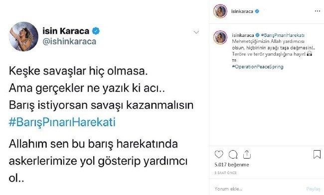 Barış Pınarı Harekatı'na ünlülerden tam destek... 8