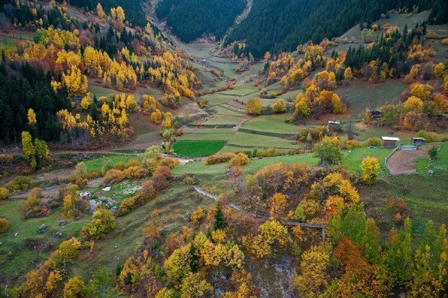 Artvin ormanları sonbaharda bir başka güzel 3