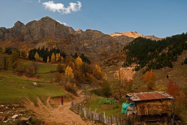 Artvin ormanları sonbaharda bir başka güzel 4