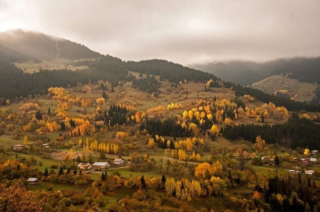 Artvin ormanları sonbaharda bir başka güzel 6