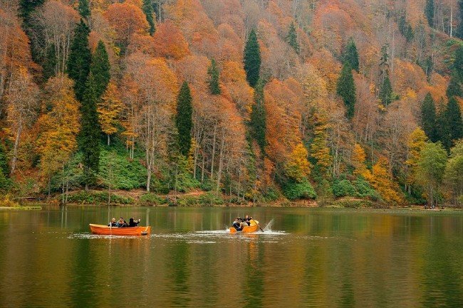 Artvin ormanları sonbaharda bir başka güzel 7