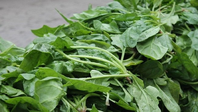 Ispanak nasıl yıkanmalı, pişirilmeli? 4