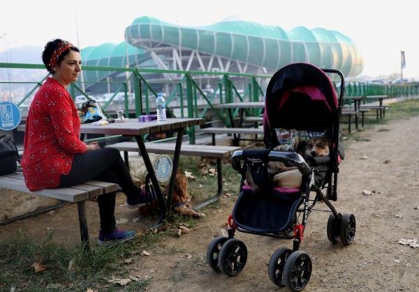 Felçli köpeğine bebek gibi bakıyor 12