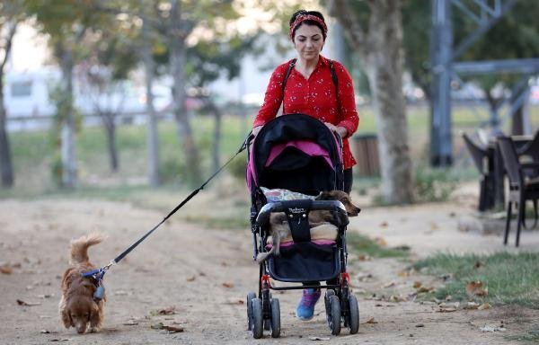 Felçli köpeğine bebek gibi bakıyor 8