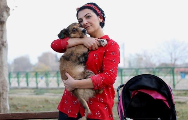 Felçli köpeğine bebek gibi bakıyor 6