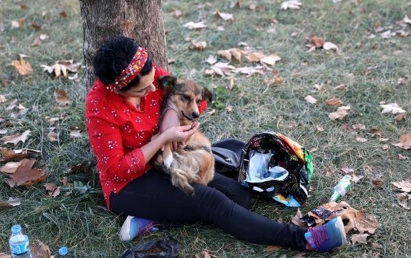 Felçli köpeğine bebek gibi bakıyor 10