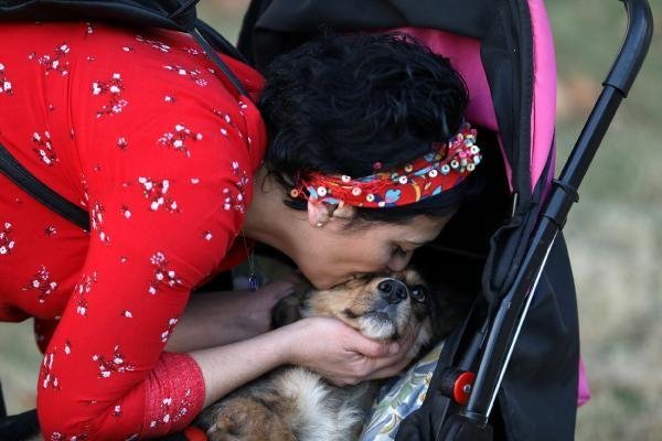 Felçli köpeğine bebek gibi bakıyor 5