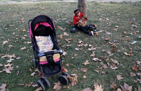 Felçli köpeğine bebek gibi bakıyor 4