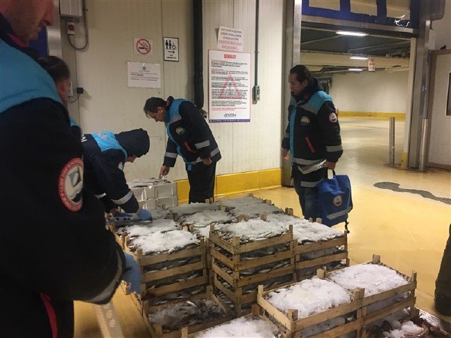 13 ton balığa el konuldu 2