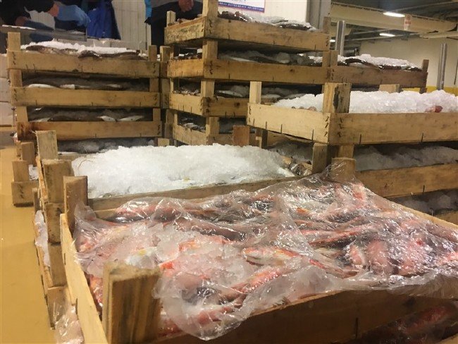 13 ton balığa el konuldu 3