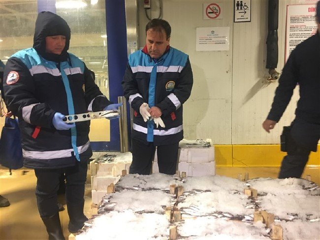 13 ton balığa el konuldu 4