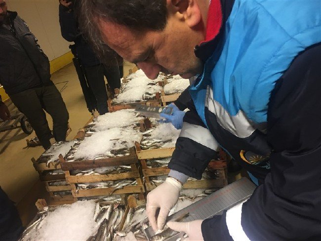 13 ton balığa el konuldu 6