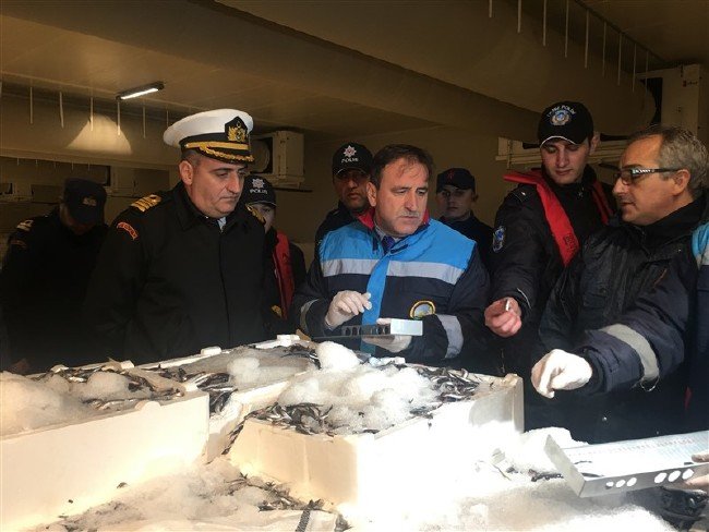 13 ton balığa el konuldu 8