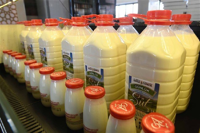 Başkentte Halk Süt raflarda 1