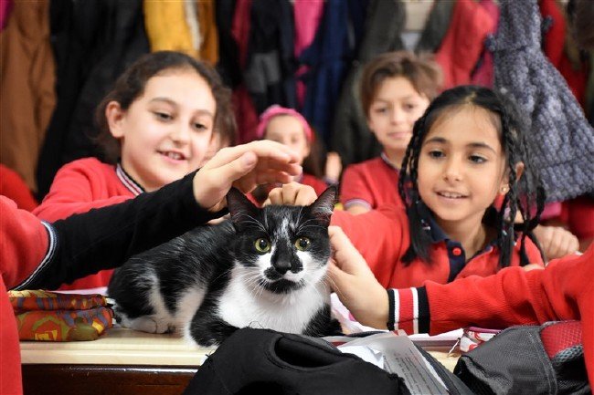 'Kartal' kedi okulun maskotu oldu 2