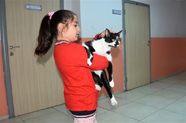 'Kartal' kedi okulun maskotu oldu 5