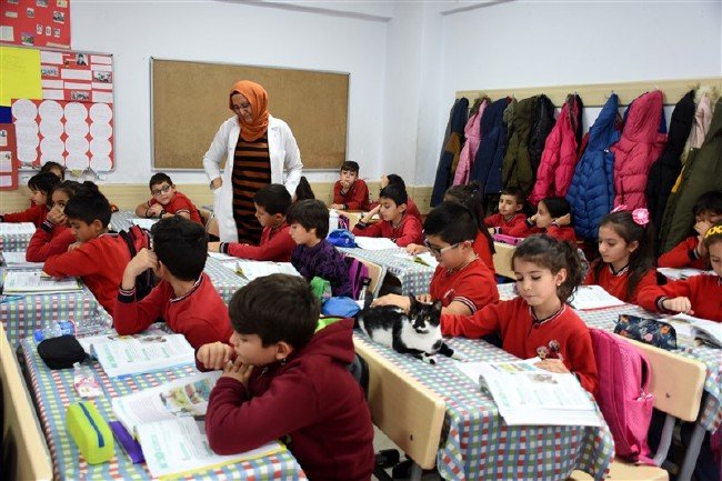 'Kartal' kedi okulun maskotu oldu 11