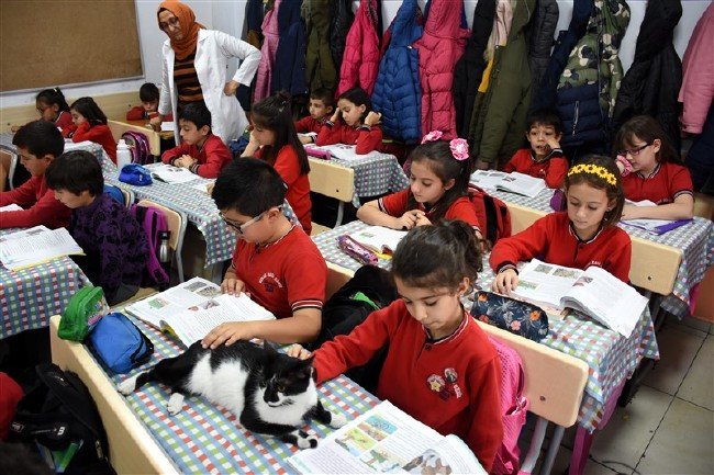 'Kartal' kedi okulun maskotu oldu 12