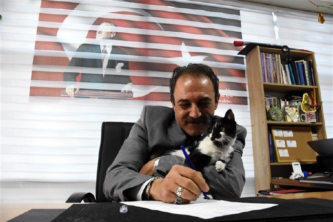 'Kartal' kedi okulun maskotu oldu 14