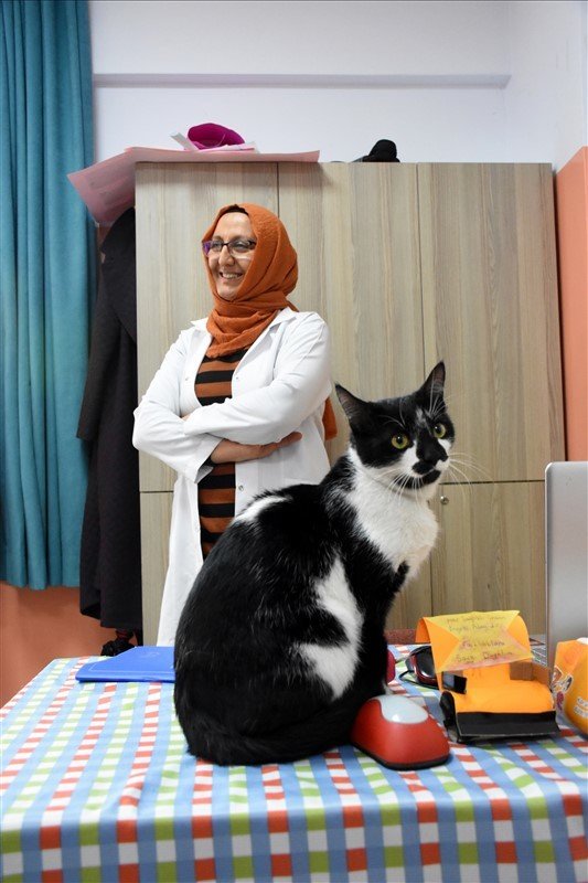 'Kartal' kedi okulun maskotu oldu 18