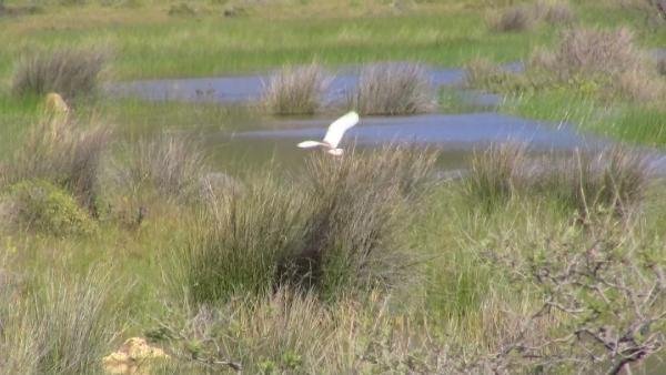 İris Gölü Dipsiz Göl olmasın 12
