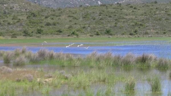 İris Gölü Dipsiz Göl olmasın 11