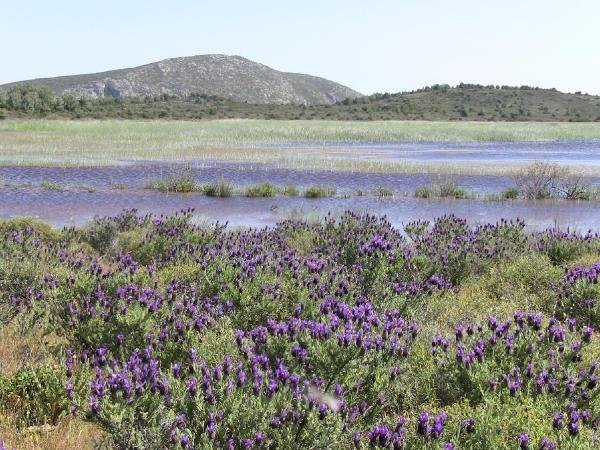 İris Gölü Dipsiz Göl olmasın 10
